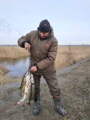 IMG_20181119_135839.jpg