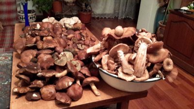 20181111_193413.jpg