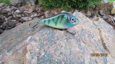 IMG_2879.JPG
