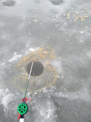 IMG_20181209_094531.jpg