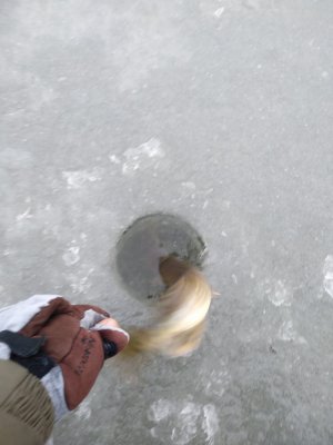 IMG_20181209_080027.jpg