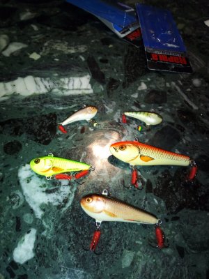 IMG_20181202_170133.jpg