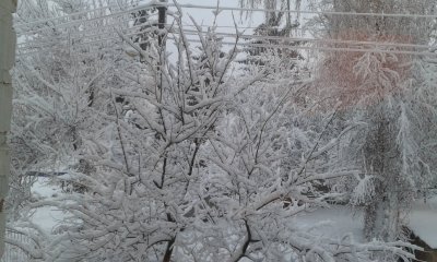 20181213_080531.jpg