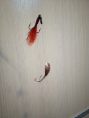 IMG_20181222_201007.jpg