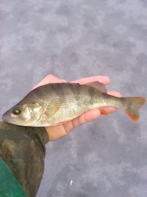 IMG_20181223_142329.jpg