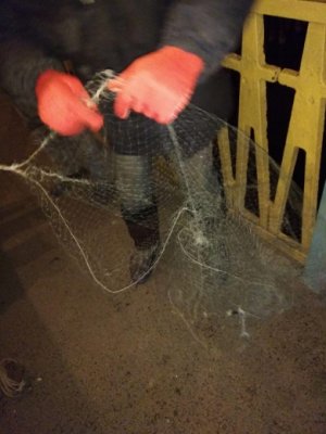 12_20_azov2.jpg