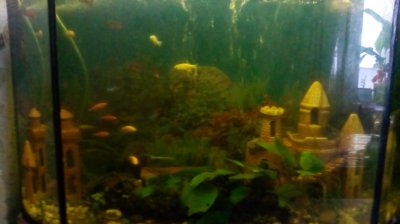 IMG_20190103_110654[1].jpg