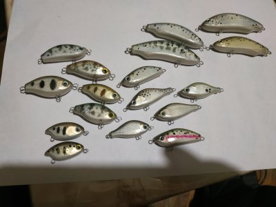 IMG_20181220_190447.jpg