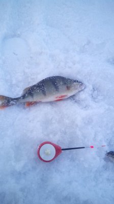 IMG_20190105_145155.jpg