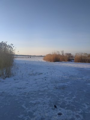 IMG_20190117_150819.jpg