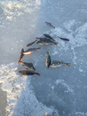 IMG_20190117_150734.jpg