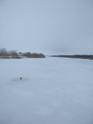 IMG_20190126_113025.jpg