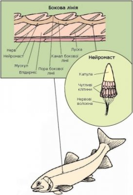 01_15_bok0.jpg
