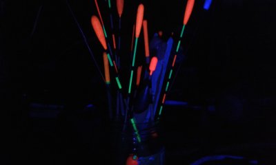 20190208_172633.jpg