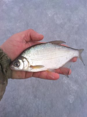 IMG_20190129_120300.jpg