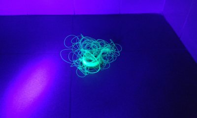20190214_124537.jpg