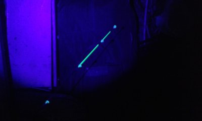 20190217_160501.jpg