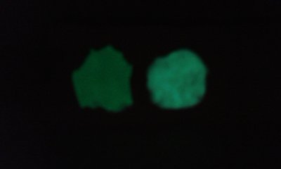 20190223_122257.jpg