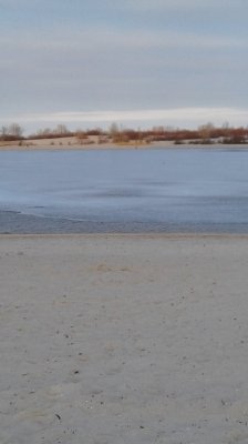 20190302_171016.jpg