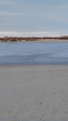 20190302_171020.jpg