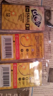 IMG_20190227_152424[1].jpg