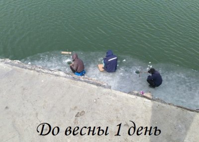 image_141373.jpg