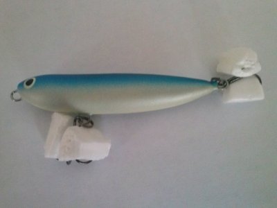 CAM01224.jpg