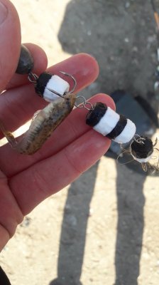 20190306_102009[1].jpg