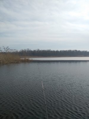 IMG_20190310_102646.jpg