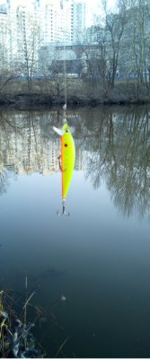 EU Minnow.png