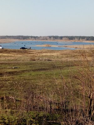 IMG_20190330_074636.jpg