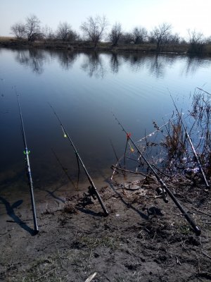 IMG_20190330_084809.jpg