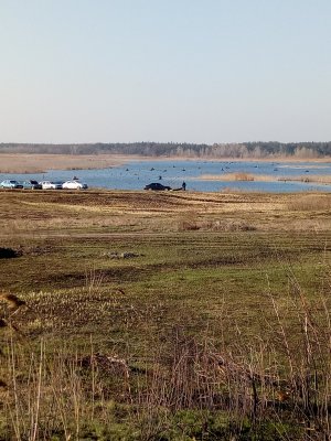 IMG_20190330_074638.jpg