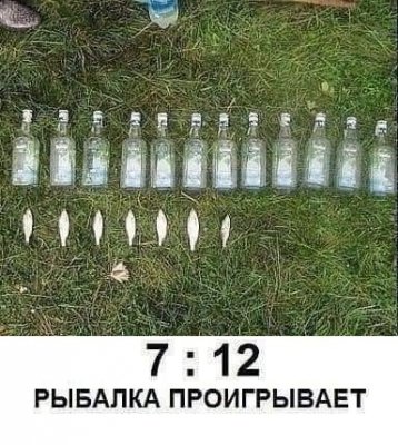56781218_208640736763145_8734459262257856512_n.jpg