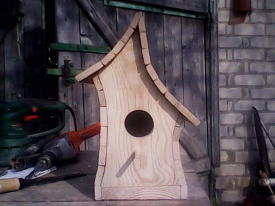 IMG1217A.jpg