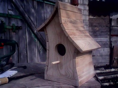 IMG1218A.jpg