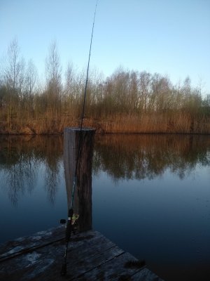 IMG_20190418_063046.jpg