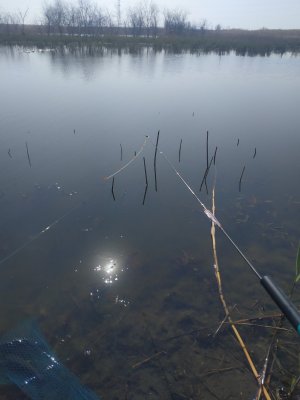 IMG_20190425_095139.jpg