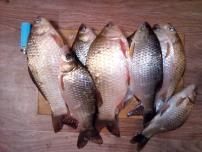 IMG_20190427_210029[1].jpg