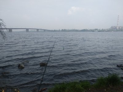 IMG_20190430_143334.jpg