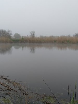 IMG_20190430_055948.jpg