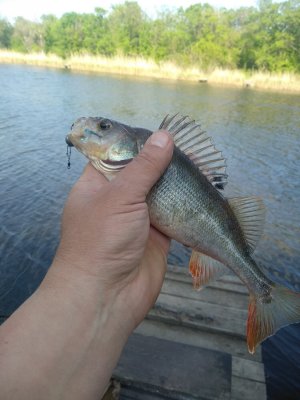 IMG_20190504_163530.jpg