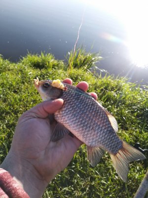 IMG_20190509_074055.jpg