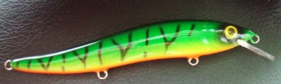 minnow1.jpg