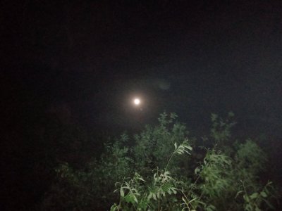 IMG_20190517_222635.jpg