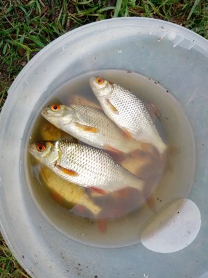 IMG_20190518_194540.jpg