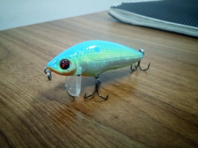 topwater.jpg