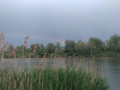 IMG_20190526_163842.jpg