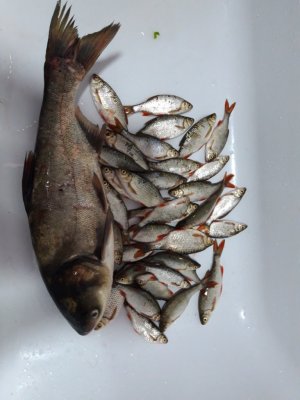 20190602_202137.jpg