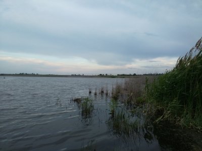 IMG_20190604_185850.jpg